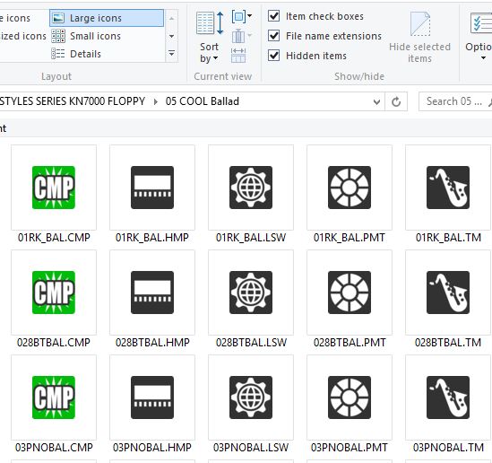 Technics Keyboard Icons Large Icons.JPG