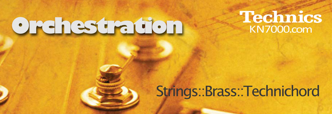 TECHNICS_KN7000_STRINGS.jpg